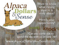 AlpacaDollarsandSense_Std_Postcard-front-preview