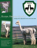 Alpacalachin-Full Page Ad-preview