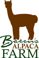 Bacon's Alpaca