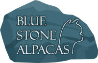 Blue Stone Alpacas