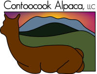 Contoocook Alpaca