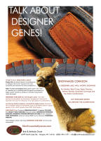 Corazon-flyer-2007-preview