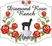 Diamond Rose Ranch