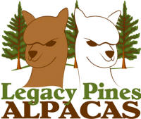 Legacy Pines Alpacas