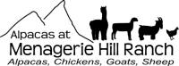 Menagerie Hill Ranch