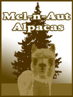 Mel-N-Aut Alpacas