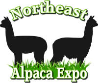 NE Expo