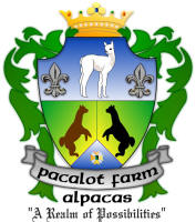 PacaLot