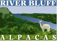 River Bluff Alpacas