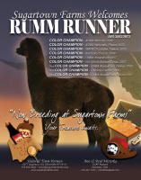 RummRunner_Ad3-preview