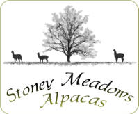 Stoney Meadows Alpacas