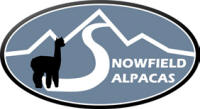 Snowfield Alpacas