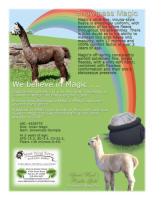 Spirit_Wind_Magic_Ad_March2006