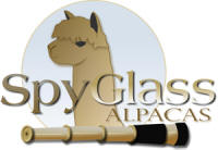 Spyglass Alpacas