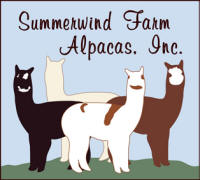 Summerwind Farm Alpacas