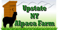 Upstate NY Alpaca Farm