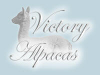 Victory Alpacas