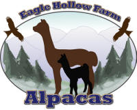 Eagle Hollow Alpacas