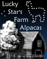 Lucky Star's Farm Alpacas