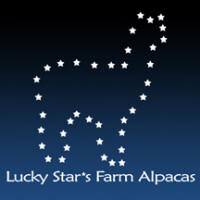 Lucky Star's Farm Alpacas