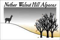 Nether Walnut Hill Alpacas